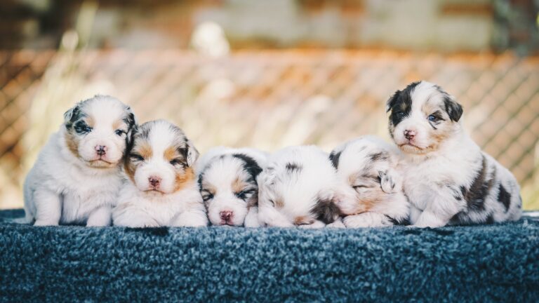 anna-dudkova-pM7ZxhEN8Js-unsplash