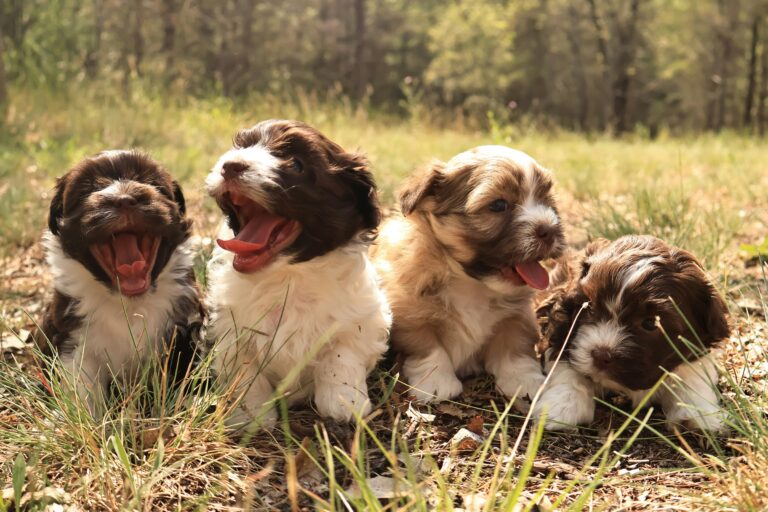 daniel-gomez-nr7oBrntJog-unsplash